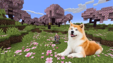 testing - - testing - -'s Thumbnail